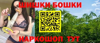 Альфа ПВП Обь