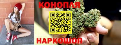Альфа ПВП Обь